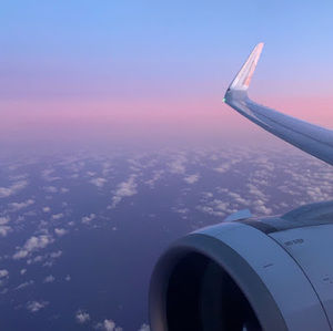 Meet your Posher, Molly